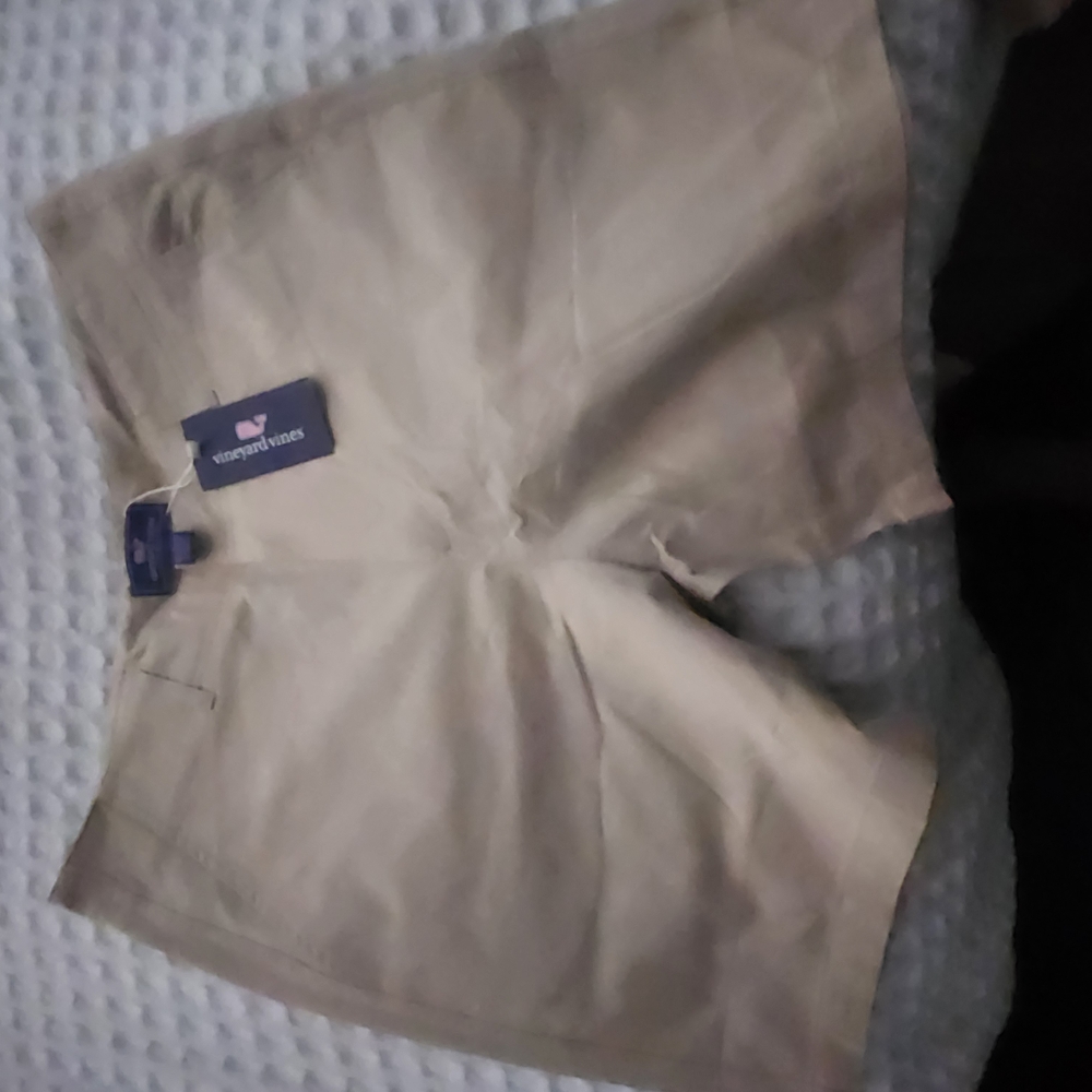 Solid Khaki Men Shorts